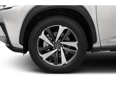 2019 Lexus NX 300h